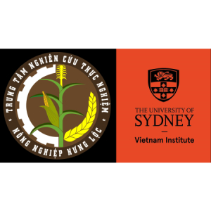 Đề tài Nghiên cứu về bệnh thối củ trên cây sắn nhận tài trợ từ SVI Seed Grant Program 2026
