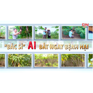 GIẢI PHÁP: ỨNG DỤNG TRÍ THÔNG MINH NHÂN TẠO (AI)  XÂY DỰNG MÔ HÌNH PHÁT HIỆN SỚM CÁC BỆNH HẠI PHỔ BIẾN TRÊN CÂY SẮN TẠI ĐÔNG NAM BỘ